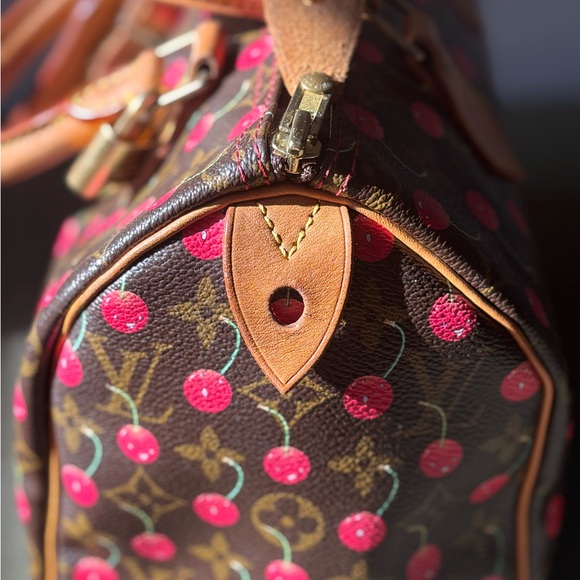 Louis Vuitton Cherry Speedy - Picture 8 of 12